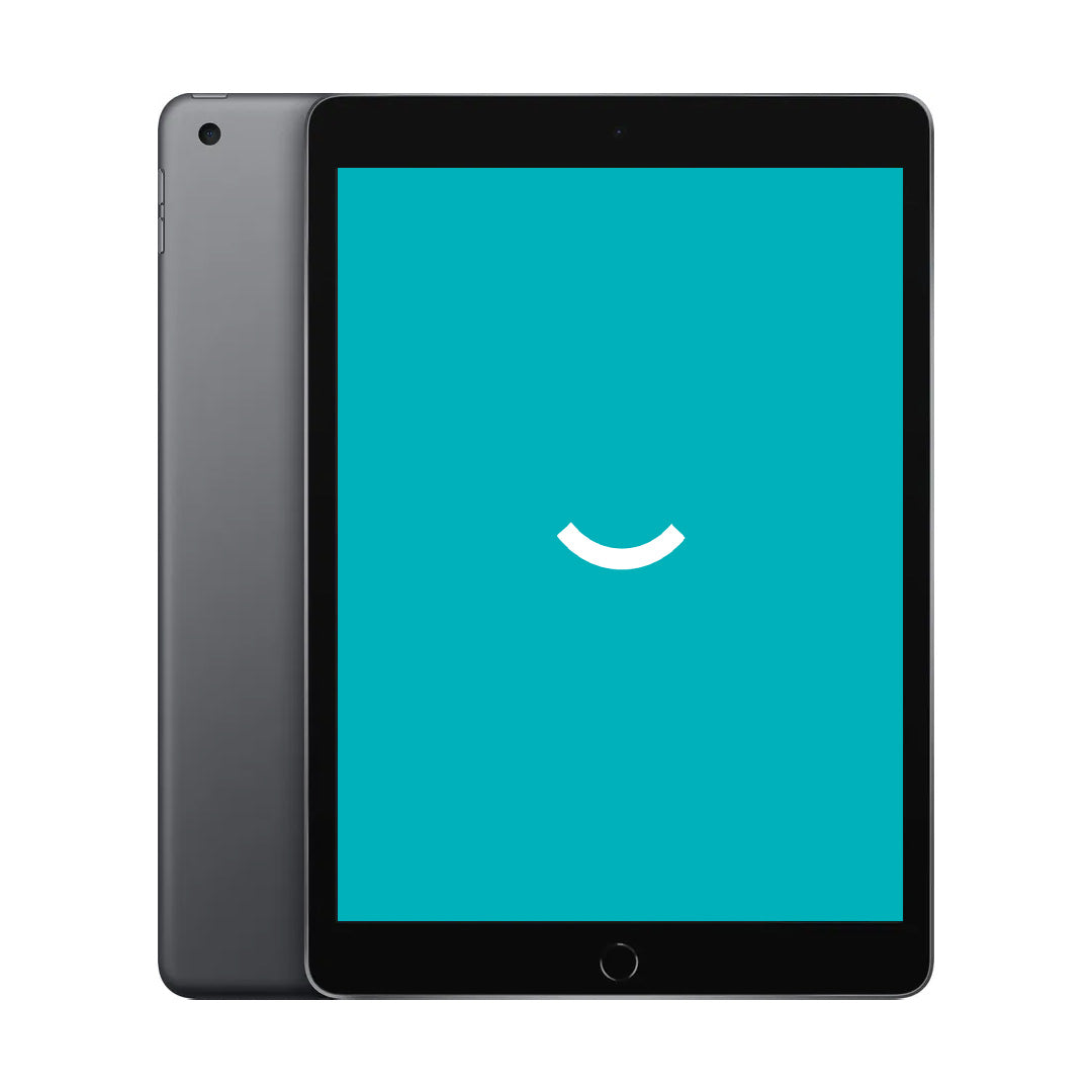 iPad 9 - 256GB - 4G - Grau