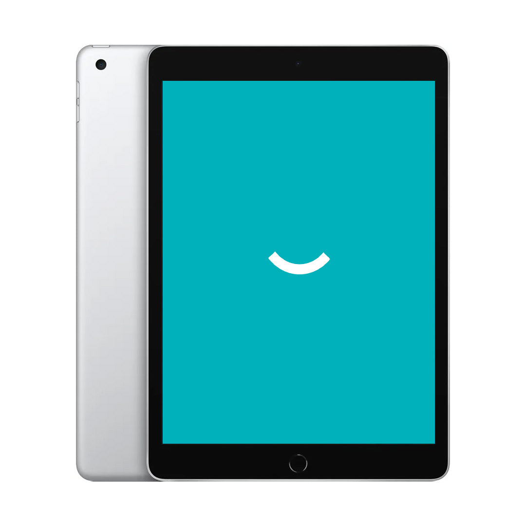 iPad 9 - 256GB - 4G - Silber