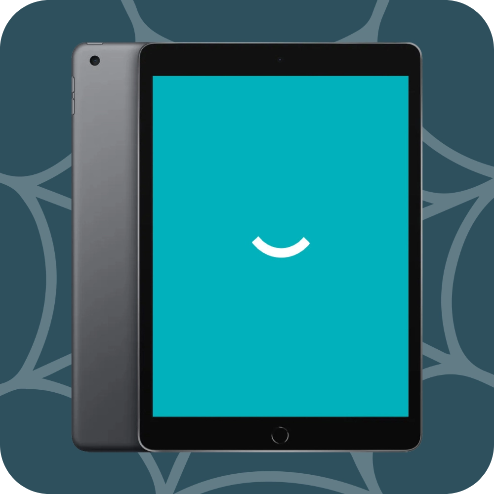 iPad 9 - 256 Go - Wi-Fi - Gris sidéral