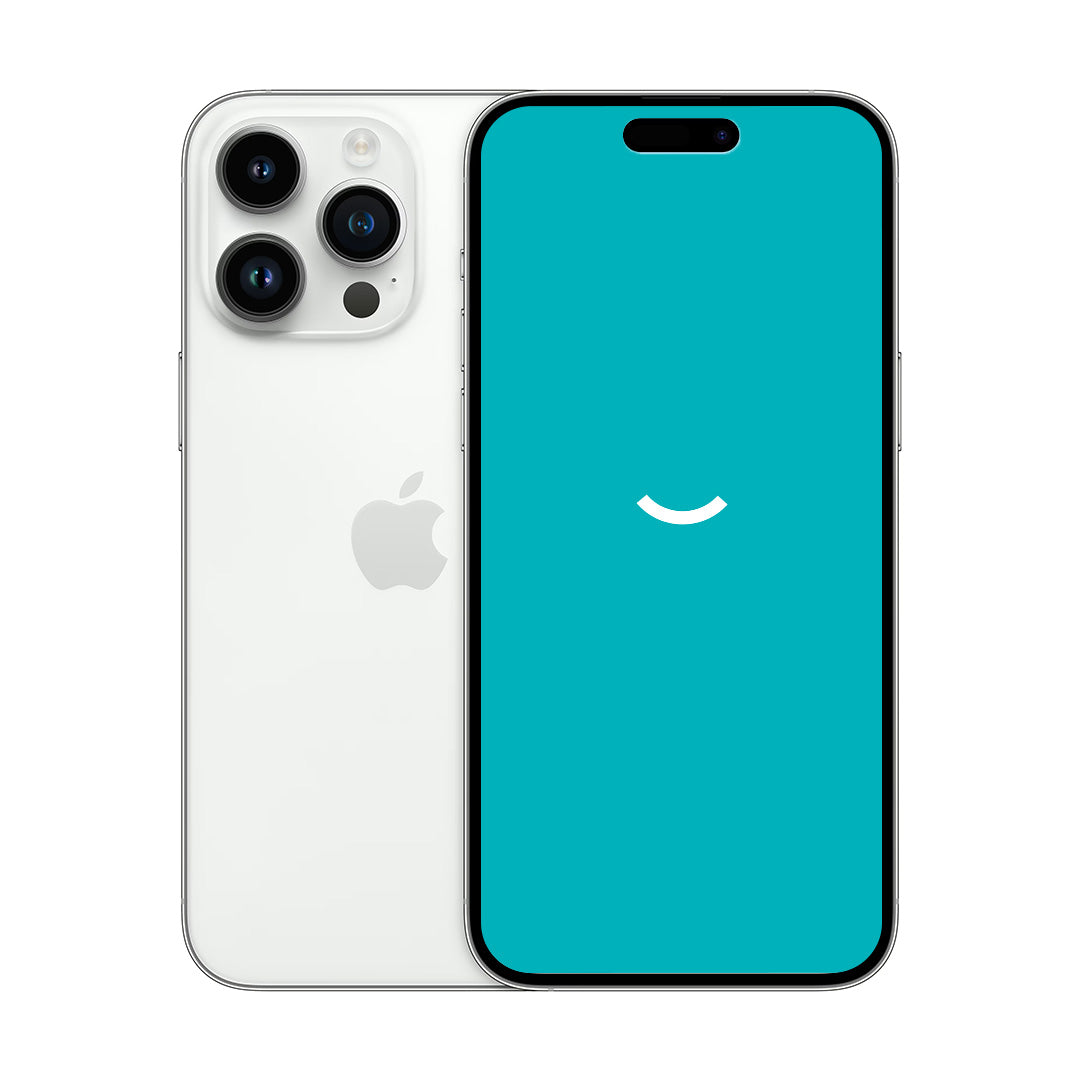 iPhone 14 Pro Max | 256 Go | Argent