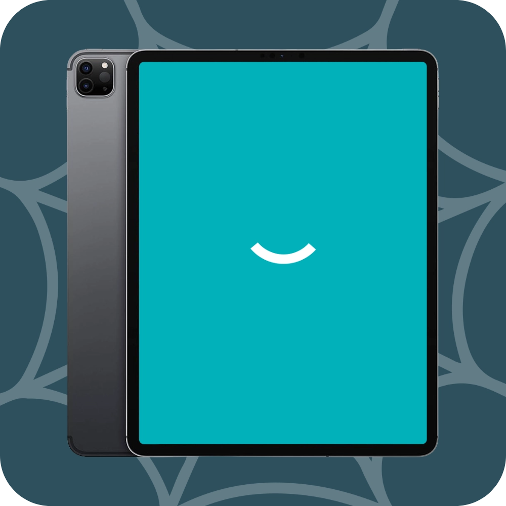 iPad Pro 12,9" 4e génération (2020) | 256 Go | Wi-Fi+4G | Gris